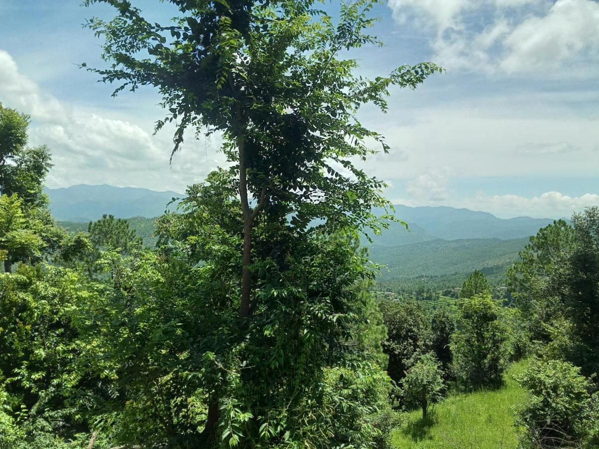 Evergreen Home Stay Almora Zewnętrze zdjęcie